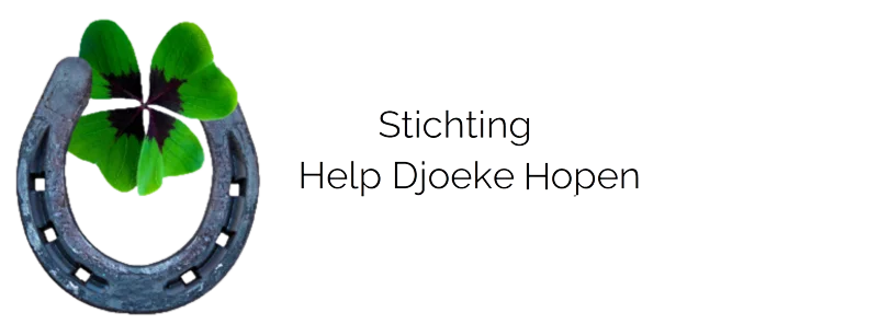 Stichting-Help-Djoeke-Hopen